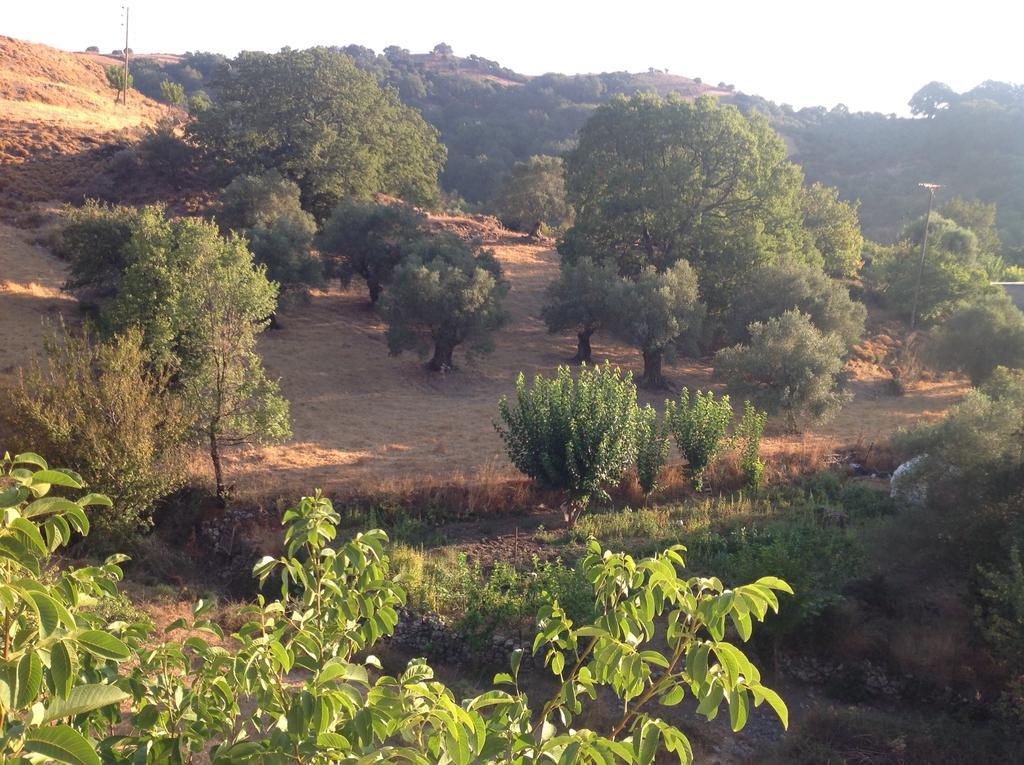 فيلا Marika'S House Alonai المظهر الخارجي الصورة